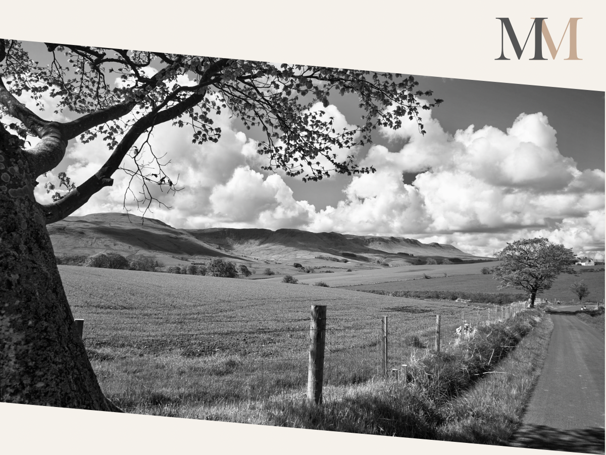 Marketing consultant and agency Midlothian